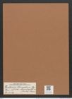 Diatoma elongatum var. mesoleptum (Kuetz.) Grun. (de-Toni-Nr.: Genus 58, Species 2539) Zeichnungen Sammlung Grunow Mappe 02715 (Herbarium_W_Grunow_drawings_Folder_02715)